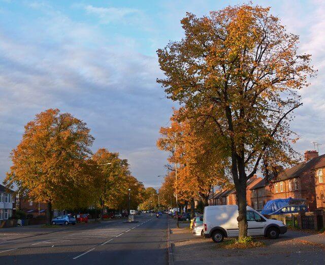 Student Accommodation in Aylestone Park, Leicester - autumn trees along Saffron Lane