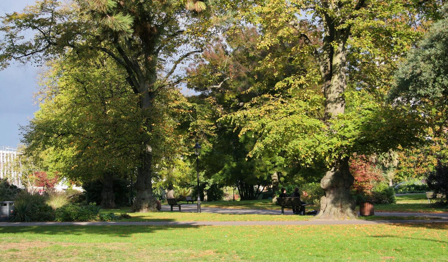Student Accommodation in Southampton City Centre, Southampton - Andrews Park on a sunny day