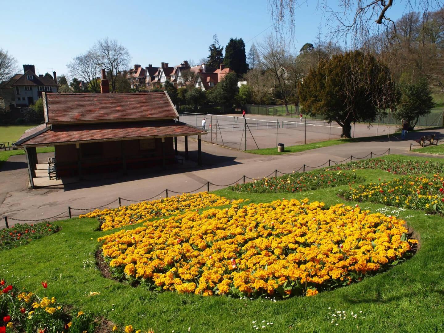 Student Accommodation in Uplands, Swansea - flowers in Cwmdonkin Park