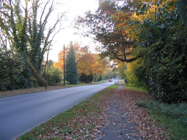 Student Accommodation in Canley, Coventry - Cannon Hill Road on an autumn day