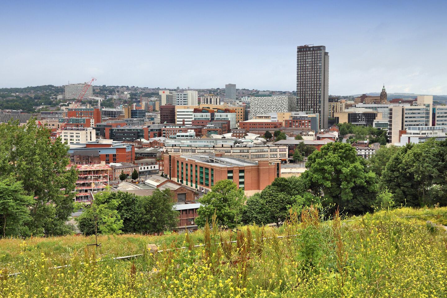 Student Accommodation in Broomhill - the Broomhill skyline on a clear day