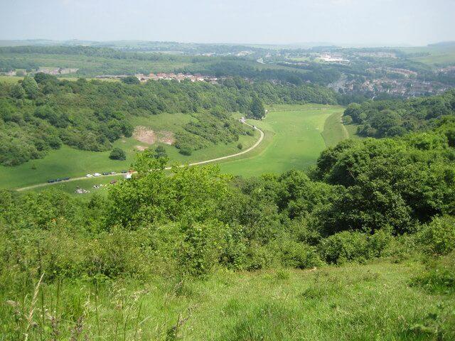 Student Accommodation in Mouslecoomb, Brighton - wildlife nature reserve in Moulsecoomb